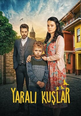 მოგონებების ზარდახშა / mogonebebis zardaxsha / Yaralı Kuşlar